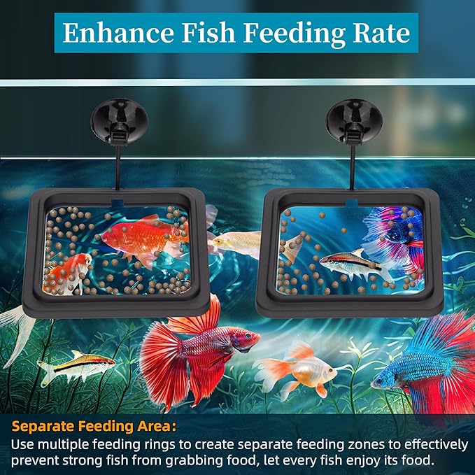 Fish Feeding Ring Aquarium Square Floating Food Feeder Circle with Strong Suction Cup Fish Tank Feeding Ring for Betta Goldfish Guppy