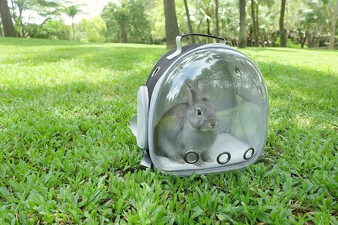 Small Animal Carrier Guinea Pig Backpack,Transparent, Breathable Backpack Carrier for Hedgehogs, Rabbits, Birds, Squirrels, Hamsters, Lizards Comfortable, Portable Travel Bag for Small Pets (Black)