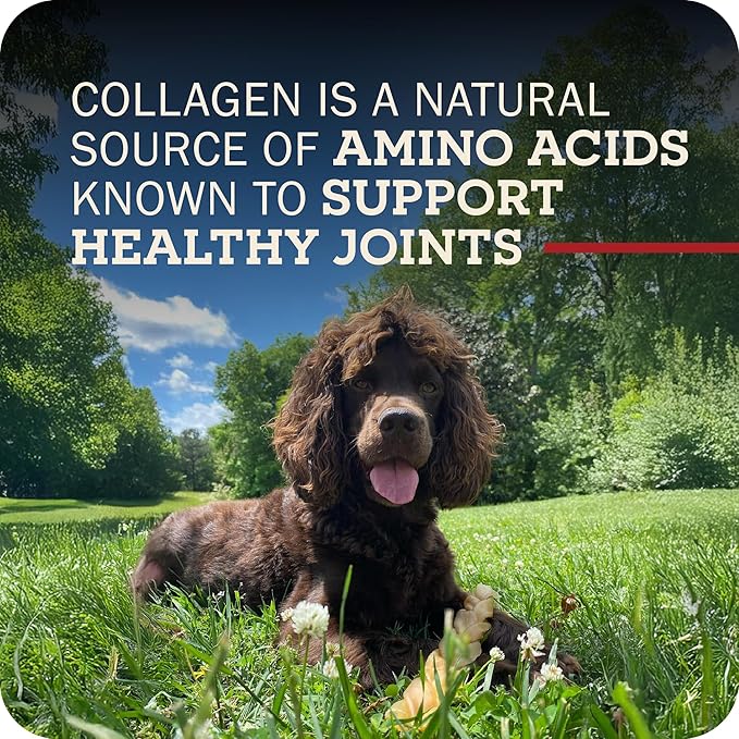 Beef Collagen Sticks - Long Lasting Chews. Bully Sticks Alternative, High Protein Dental Treats with Natural Collagen for Dogs. Supports Joint, Skin & Coat Health