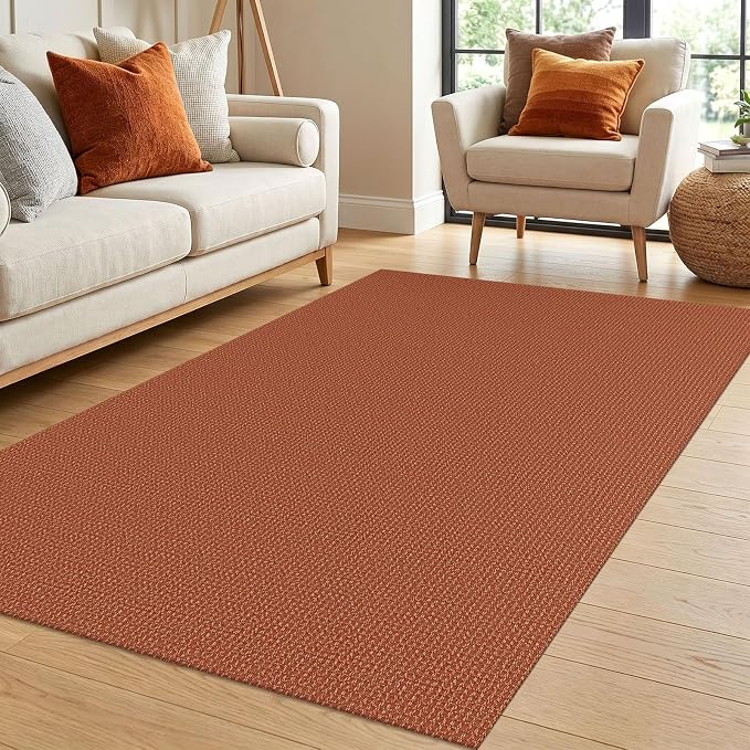 IOHOUZE Washable Area Rug 4x6 Non Slip Rubber Backed Woven Rugs