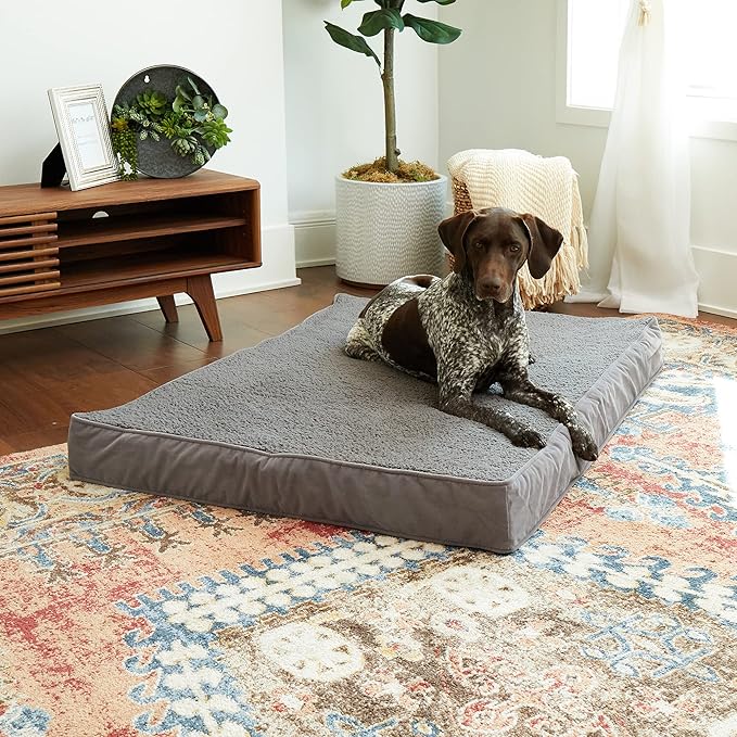Happy Hounds Oscar Rectangle Orthopedic Foam Sherpa Dog Bed, Large (48 x 36 in.), Pewter
