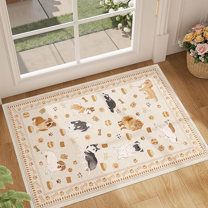 DUKINO 2x3 Entryway Rug, Washable Small Door Mat Indoor Entance Lightweight