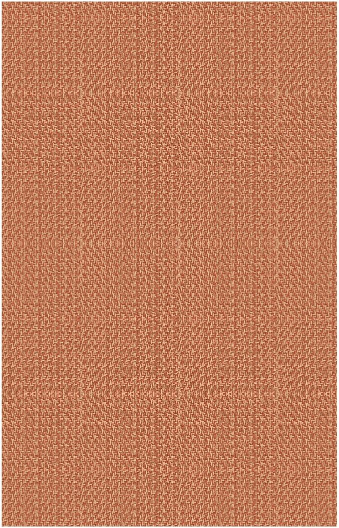 IOHOUZE Small Area Rug 2x3 Washable Woven Rugs