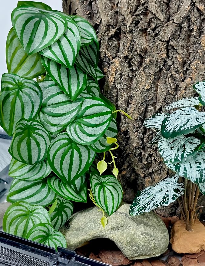 Woyrise 2 Pack Reptile Plants, Terrarium Hanging Plant Vines, Artificial Leaves with Suction Cup, Bearded Dragon Tank Accessories for Gecko Lizard Snake Frog Tortoise Decorations - Calathea Orbifolia