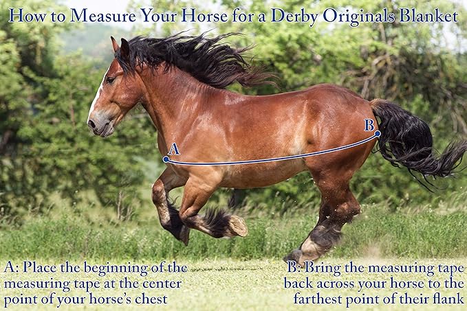 Derby Originals Nordic-Tough 1200D Heavyweight Mini Horse & Pony Turnout Blanket – Waterproof, Breathable, 300g Insulation, 210T Lining, Reflective, 2-Year Warranty (Turquoise, 46")