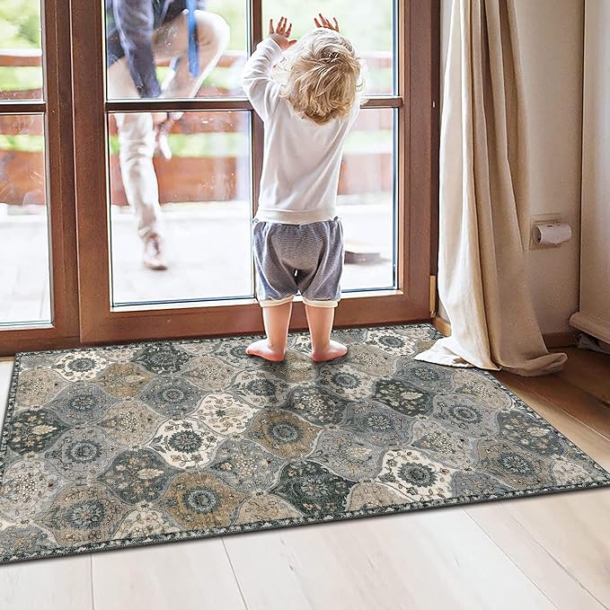 Lahome Moroccan Trellis Small Area Rug, 2x4 Rugs