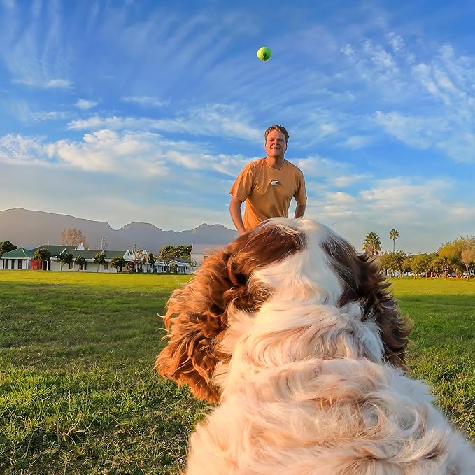 Insta360 GO 3/GO 3S Pet Harness Mount Size S