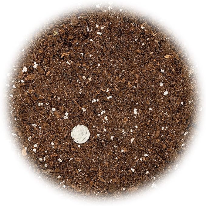GARDENERA Money Tree Potting Soil Mix for Planting or Repotting Guiana Chestnut, Soil Blended to Properly Grow Money Tree Plants (2 Quart Bag)