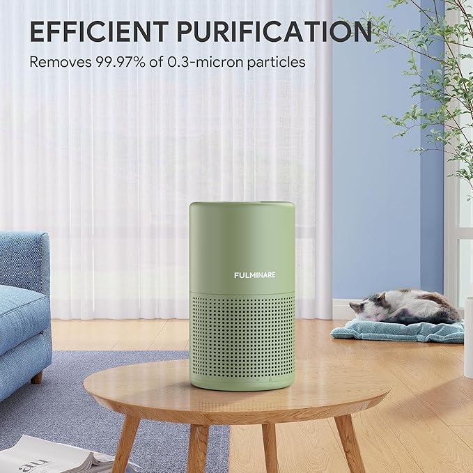 FULMINARE Air Purifiers for Home Bedroom H13 HEPA Air Purifier, 3 Speeds, Timer, 24dB, Small Mini Air Purifier with Night Light, Sage Green