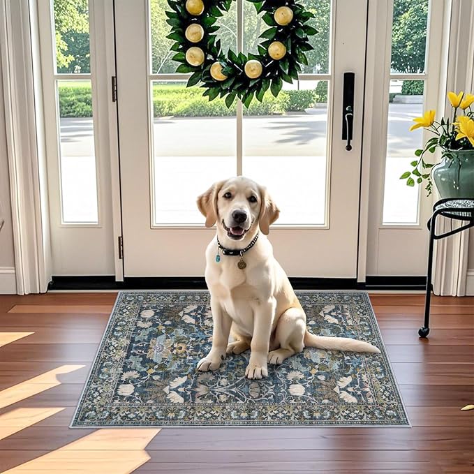 Washable 2x3 Runner Rug for Entryway: Easy-Clean Carpet