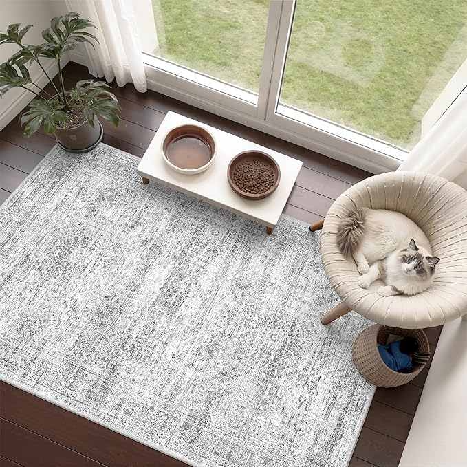 3x4 Washable Area Rug for Entryway, Soft Kitchen Rugs Non Slip for Dining Room