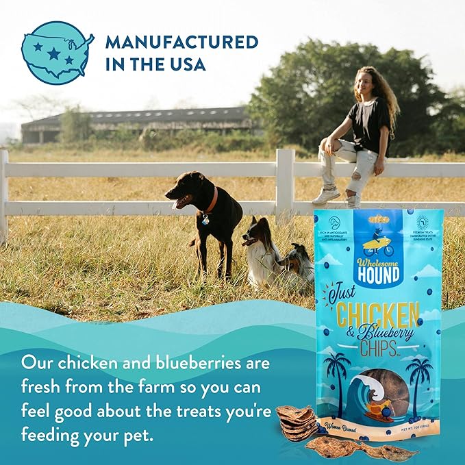 Chicken & Blueberry Chips – 2 Simple Ingredient Dog Treats, All Natural & Healthy Training Snacks for Small, Medium & Large Breeds, Puppies – High Protein, Made in US, 7oz