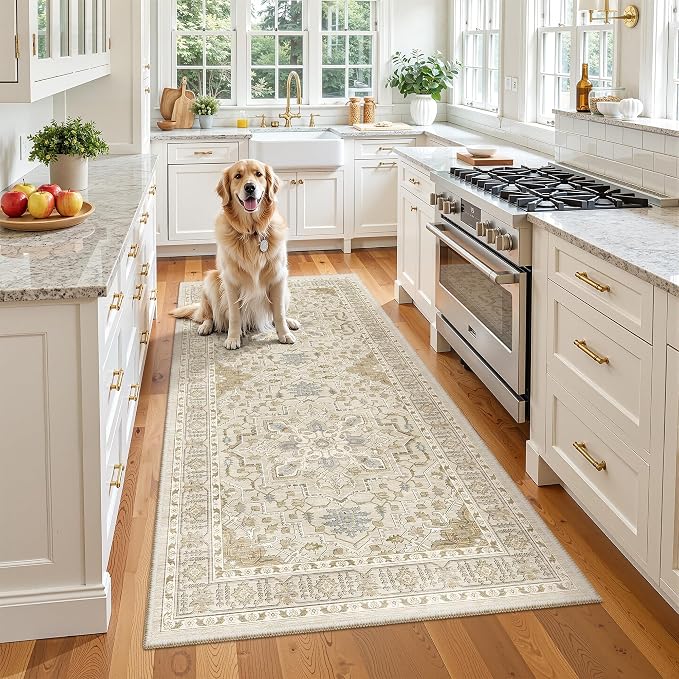 Madane Hallway Runner Rug 3x6