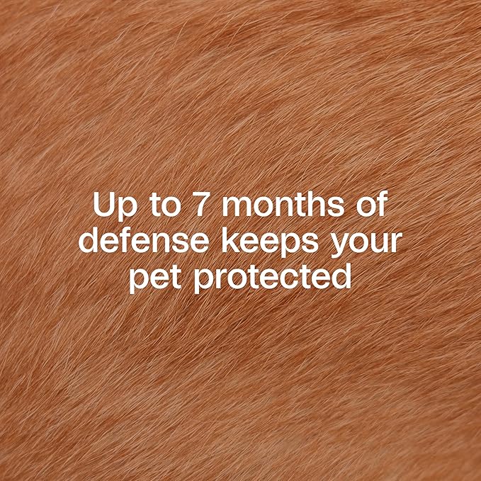 ADAMS Plus Flea & Tick Collar for Large Dogs, Flea Collar for 7-Month Prevention, Adjustable Collar Fits Large Dogs & Puppies, Kills Fleas & Ticks, 1 Count