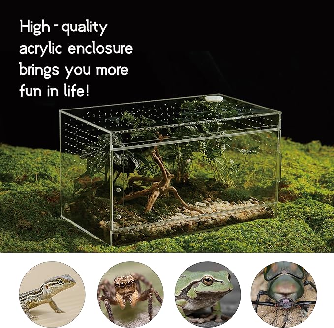 Acrylic Terrarium for Reptiles & Spiders – Small/Medium/Large Leak-Proof Enclosure (Horizontal/Vertical) | Ideal for Tarantulas, Jumping Spiders, Frogs & Geckos(Large Horizontal)