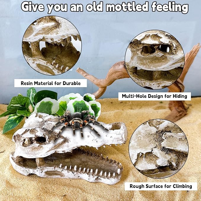 Tfwadmx Human Skull and Crocodile Skull Decor, Snake Hide, Tarantula Enclosure Accessories, Resin Skull with Vines Reptile Terrarium Tank Decor for Geckos, Lizards, Spiders