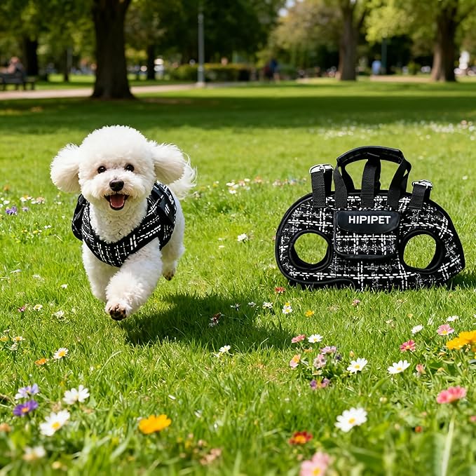 Dog Lift Harness Dog Carrier Adjustable Carrier Sling for Small and Medium Cats with Small Pet Treat Bag Outdoor Hiking (Black L 8-14lb)