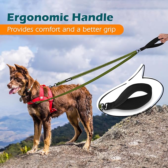 PetBonus Two Point Control Dog Leash, Works with No Pull Harnesses, No Tangle Training Leashes, Soft Padded and Reflective Walking Lead, Converts to Single Lead for Medium Large Dogs (Khaki Green)