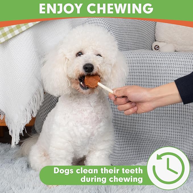 MON2SUN Lollipop Dog Treats, 4.5 Inch Chicken and Egg with Rawhide Twist Sticks, Healthy and Teeth Cleaning Snacks for Small Dogs, 10.58oz (15 Count-Pack of 1)