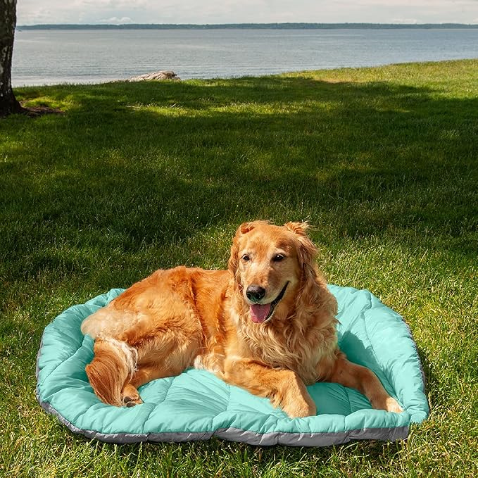 FurHaven Outdoor Travel Dog Bed for Large Dogs, Lightweight Trail Pup Travel Pillow Mat with Stuff Sack, Machine Washable & Foldable, Large, Aqua/Granite Gray
