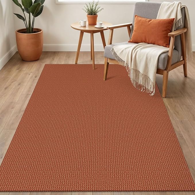 IOHOUZE Washable Area Rug 3x5 Non Slip Rubber Backed Woven Rugs