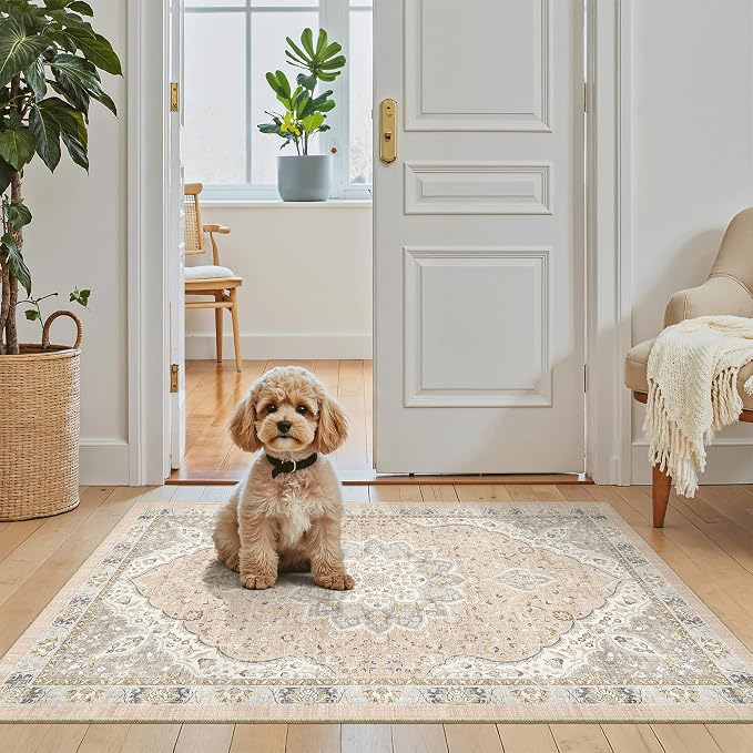 Madane Washable Area Rug 2x3, Small Entryway Rug Non-Slip Vintage Door Mat