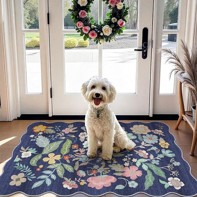 Washable 2x3 Area Rug for Entryway: Easy-Clean Carpet
