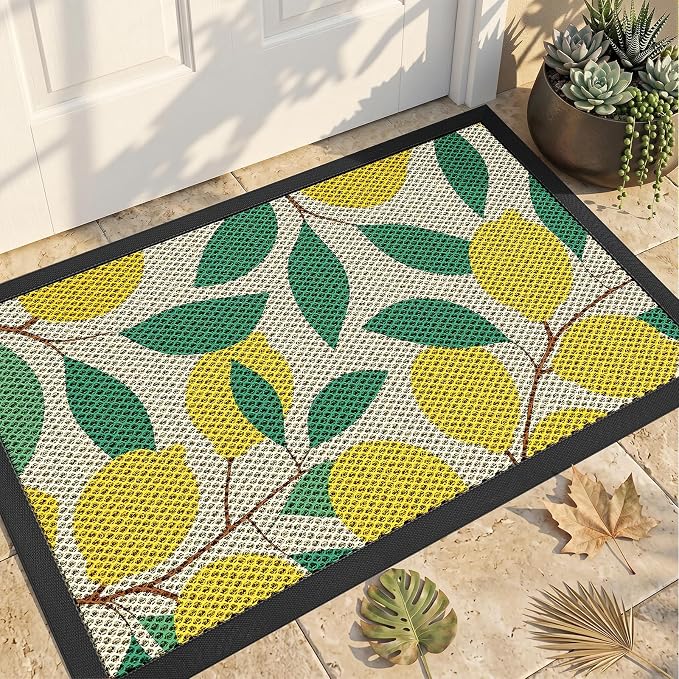 Front Door Mat, Heavy Duty Non-Slip Rubber Dirt Trapper, Quick-Dry Low-Profile