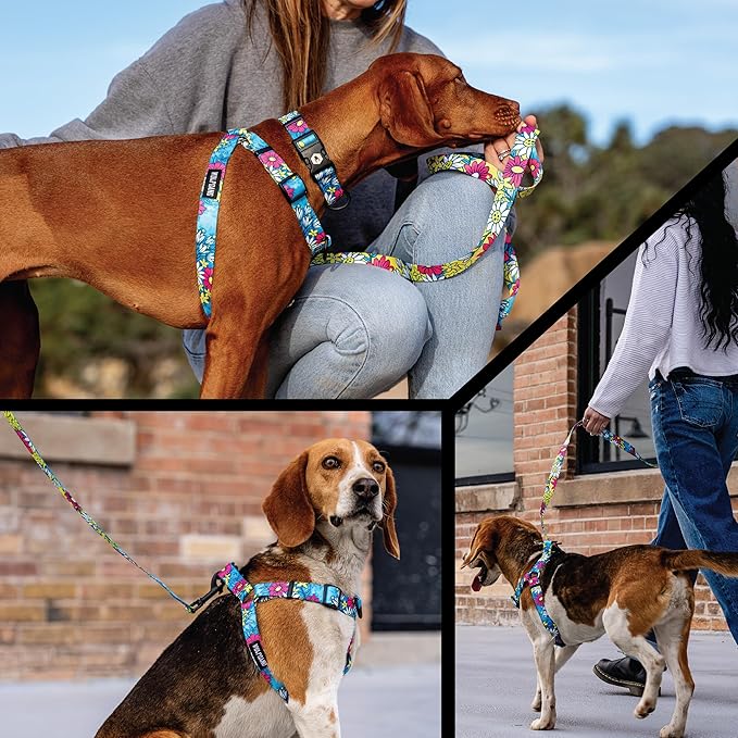 Wolfgang Heavy Duty Adjustable Dog Harness, Pull-Tested for Walking & Training, LazyDaisy Print, Large