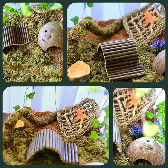 Hermit Crab Accessories – 6PCS Natural Hermit Crab Toys Climbing Bridge, Shells, Coconut Hideout, Moss and Plants for Hermit Crabs Habitat & Reptile Tank Decor