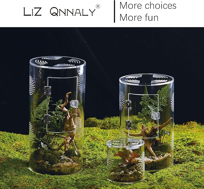 Acrylic Terrarium for Reptiles & Spiders – Small/Medium/Large Leak-Proof Enclosure (Horizontal/Vertical) | Ideal for Tarantulas, Jumping Spiders, Frogs & Geckos(Large Round)