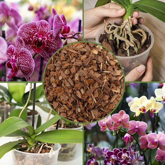 Soil Sunrise 100% Organic Orchid Potting Bark (2 Quarts) All-Natural USA-Sourced Pine Bark Orchid Mix Additive