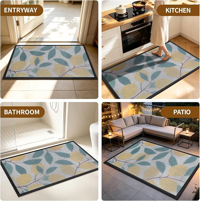 Front Door Mat, Heavy Duty Non-Slip Rubber Dirt Trapper, Quick-Dry Low-Profile
