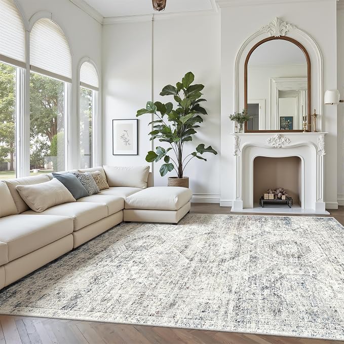 Soalmost 7x10 Area Rug for Living Room Washable Abstract Vintage Soft Thin