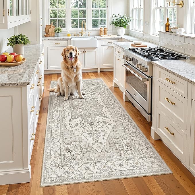 Madane Hallway Runner Rug 3x6