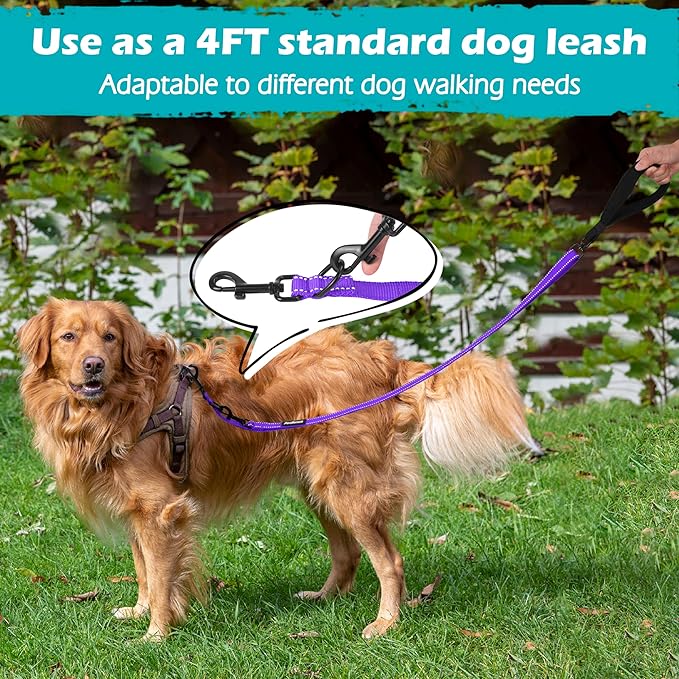 PetBonus Two Point Control Dog Leash, Works with No Pull Harnesses, No Tangle Training Leashes, Soft Padded and Reflective Walking Lead, Converts to Single Lead for Medium Large Dogs (Purple)