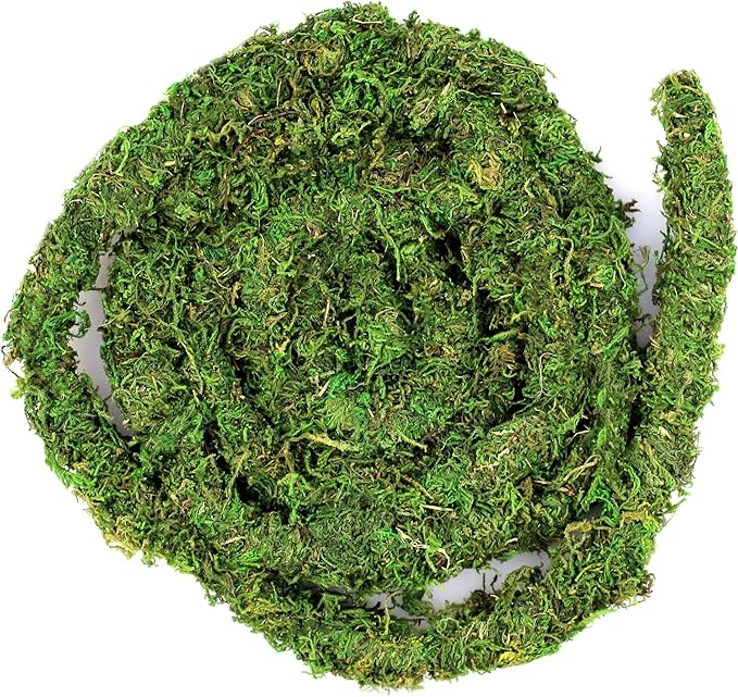 Supermoss Galápagos (05266) MossVine, Real Moss Vine, 12FT, Green