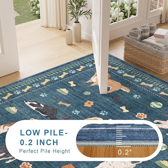DUKINO 3x5 Area Rug, Lightweight Washable Entryway Rug