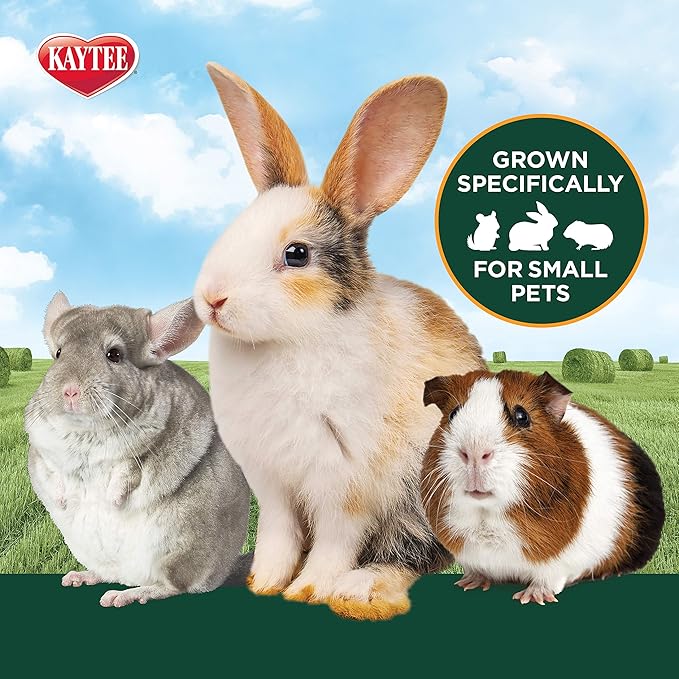 Kaytee All Natural Timothy Hay Plus Cranberries For Guinea Pigs, Rabbits & Other Small Animals, 24 Ounce