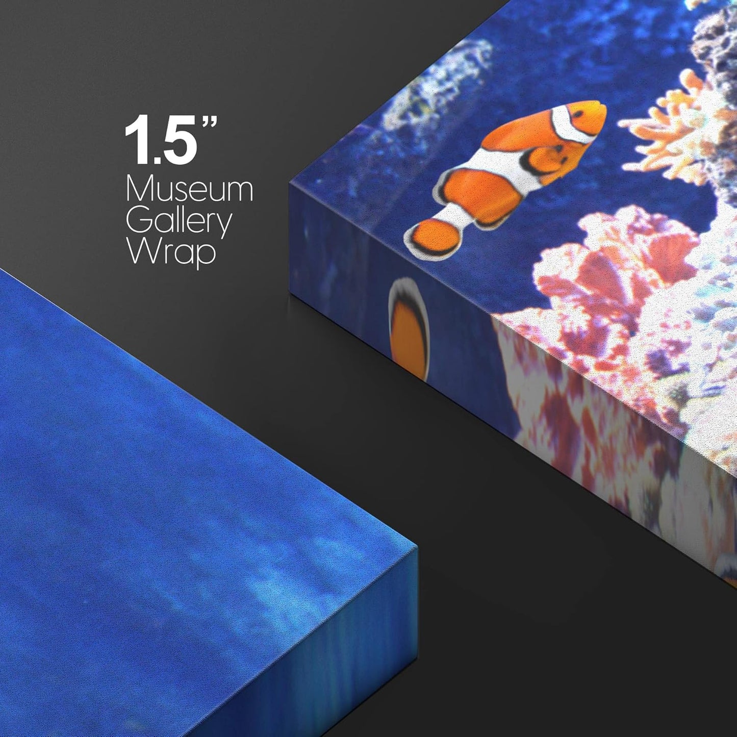 wall26 Canvas Print Wall Art Clownfish Underwater Tropical Coral Reef Nature Animals Photography Realism Rustic Scenic Landscape Wilderness Earth Colorful for Living Room, Bedroom, Office - 16"x24"