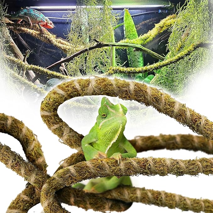 Duspro 10FT Reptile Vines for Climbing Bendable Branch for Reptile Natural Moss Rope Jungle Decor for Bearded Dragon, Chameleon Tank Accessories, Snake Gecko Lizard Terrarium