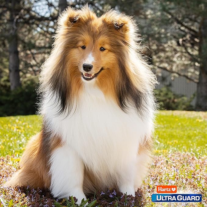Hartz UltraGuard Pro Flea & Tick Topical Dogs & Puppies Treatment & Prevention, 6 Months, 15-30 lbs