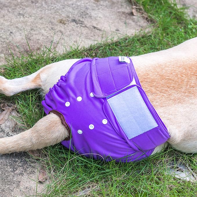CuteBone Dog Diapers Female Washable Small Medium Large 3 Pack Reusable Doggie Diapers Puppy Period Pants for Doggy Heat Cycle Peeing