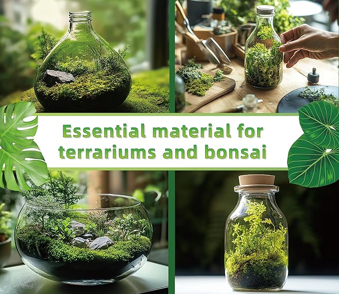 Live Moss for Reptiles - Terrarium Moss for Reptiles Peat Moss for Reptiles Habitat Bedding Moss for Snakes Turtle Frog Gecko and Other Reptiles Substrate 50 Square inches Live Moss