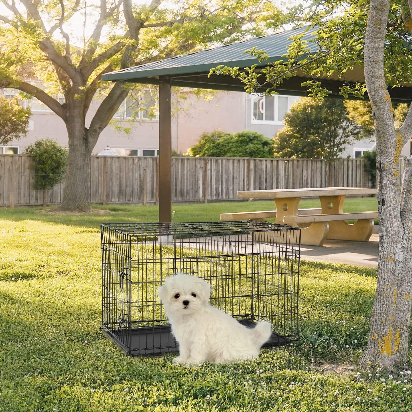 FDW Dog Crate for Medium Dogs 30 Inch Folding Metal WirePet Cage Double Door W/Divider Panel Indoor Outdoor Kennel Leak-Proof Plastic Tray,Black