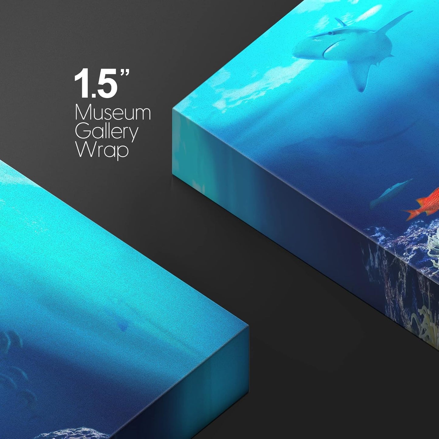 wall26 Canvas Print Wall Art Shining Sunlight Coral Reef Shark & Fish Nature Animals Photography Realism Rustic Scenic Landscape Wilderness Earth Colorful for Living Room, Bedroom, Office - 16"x24"