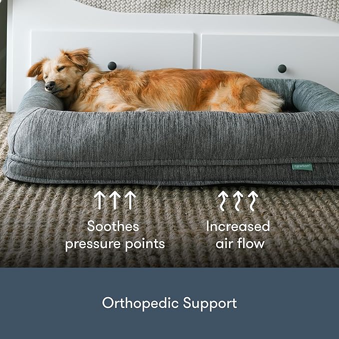 Newton Orthopedic Pet Bed - Washable Bed for Large Dogs, Puppy Bed, Crate Bed, with Removable & Breathable Dog Bed Cover, Comfy & Durable, Dog Essentials, Large