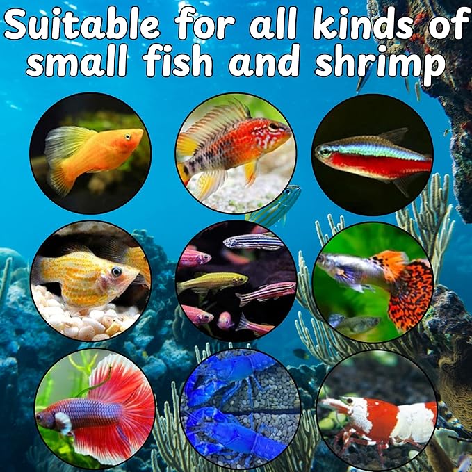 Betta Guppy Breeding Box for Fish Tank and Artificial Plants, Floating Guppy Breeding Box with Suction Cups, Acrylic Breeder Isolation Incubator for Aquarium Tank, Hatchery Breeder Chamber (Green, M)