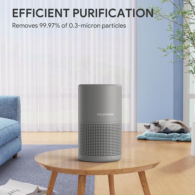 FULMINARE Air Purifiers for Home H13 True HEPA Air Filter Quiet Air Cleaner