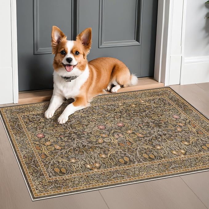 Brown Washable Entry Rug